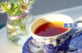 普洱茶的作用：全面解析其健康益处