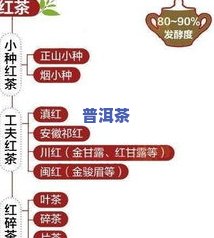 茶叶含有哪些营养素较多？探究茶叶的丰富营养成分