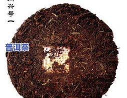 普洱茶化石哪个牌子好？综合评价与推荐