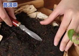 平安普洱茶-平安普洱茶饼