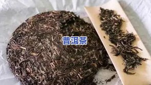 青普洱茶价格：88青、茶青及2020年价格全解析