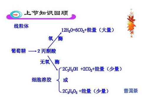 全面解析：茶叶变质的主要因素及其内在影响