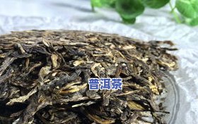 古六山普洱茶怎么样好喝吗-古六山普洱茶怎么样好喝吗