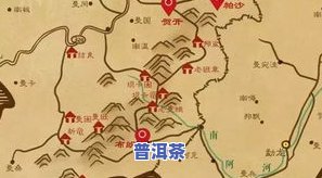 地界普洱茶：特点、产区与云南冰岛产地解析