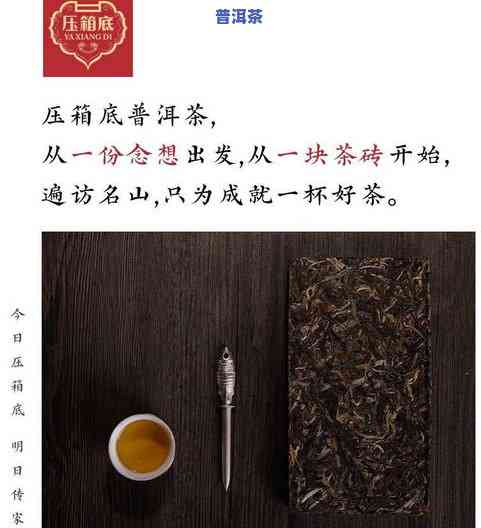 如何准确描述冰岛普洱茶的甜度？从高到低全面解析