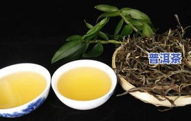 国色生香普洱茶-国色天香普洱茶生茶