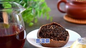 班章普洱茶：含义、品种及特点、口感与功效全解析