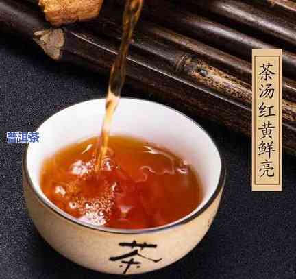 班章普洱茶属什么叶种-班章属于普洱吗