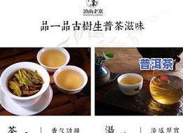 普洱茶评定-普洱茶评定标准