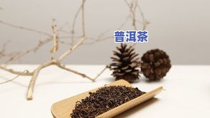 放久了的普洱茶是否可以晒？