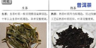 普洱茶正确洗法图解大全与视频教程