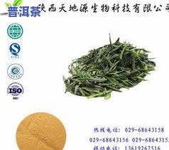 去除茶叶提取物色素的物及其提取方法