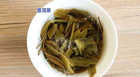 冰岛的普洱茶多少钱一克-冰岛的普洱茶多少钱一克啊