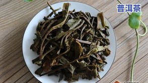 茶叶富含的微量元素-茶叶富含的微量元素有哪些