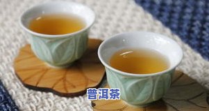 普洱茶产品原料：种类、成分及制作方法全解析