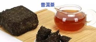 普洱茶毛料是什么？详解其含义、原料及图片