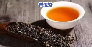 普洱茶一次泡多少g？正确用量与浸泡时间的指南