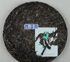 南京老树普洱茶口碑推荐