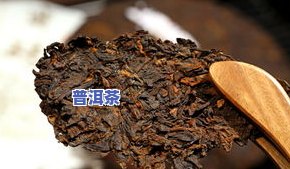 滇红普洱茶白茶-滇红 白茶