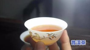 普洱茶品茶的七个步骤是什么？详解品饮之道