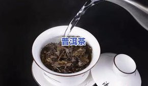 鸟巢白茶价格表大全：2016珍藏版及高清图片