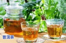 减肥中可以和茶叶吗-减肥能和茶叶吗