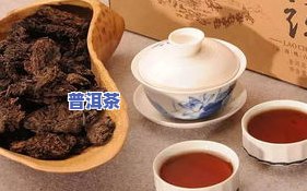 泡老普洱茶方法：详解如何冲泡出美味的老普洱茶