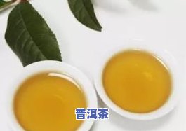 金黄色的普洱茶：品种、特点与图片全解析