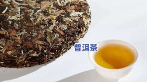 普洱茶叫白茶吗好不好呢-普洱茶叫白茶吗好不好呢视频