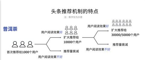 全面解析金蝉的功效和作用，包含食用方法、功能主治和利弊分析