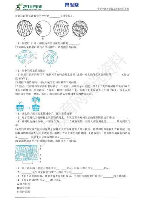 全面解析金蝉的功效和作用，包括食用方法、功能主治和利弊分析