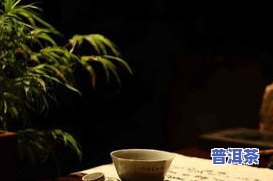 熟的普洱茶是热性的还是寒性？探讨其性质及适宜人群