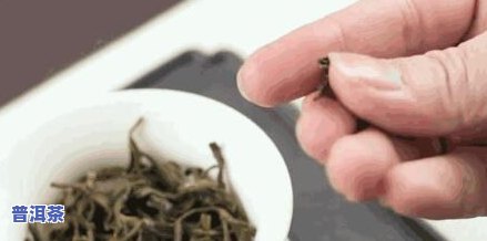 普洱茶很硬-普洱茶很硬弄不开怎么办