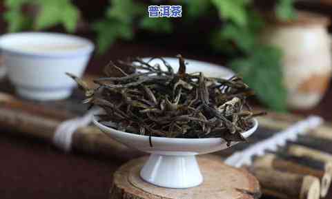 普洱茶老树茶：种类、价格及真伪辨识全解析