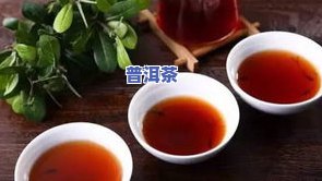 适合女生喝的熟普洱茶推荐：专业解析生、熟普洱茶的区别与适口性