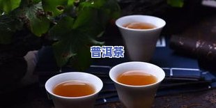 普洱茶有肥皂水味：正常现象还是疑问？