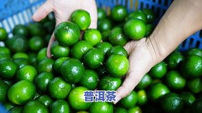 普洱茶的功效与作用点全面解析：青柑、青皮、云南版本全包括