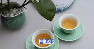 女生适合喝什么普洱生熟茶？推荐几款口感好、有益健康的普洱茶