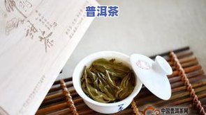 普洱茶教学入门-普洱茶教学入门视频