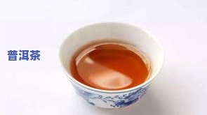 普洱茶教学入门-普洱茶教学入门视频