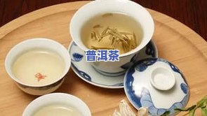 普洱茶不是白茶，为何价格差异大？