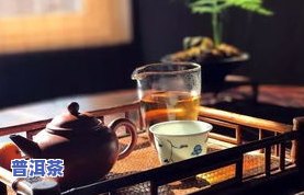 普洱茶老师-普洱茶老师洪