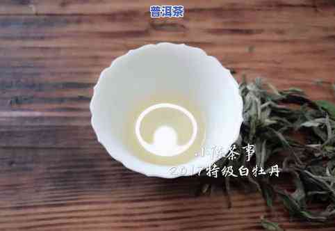 普洱茶是白茶的一种吗？比较其与白茶的价值