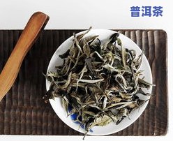 普洱茶就是白茶-普洱茶就是白茶吗