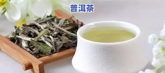 普洱茶就是白茶-普洱茶就是白茶吗