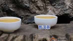 湖北普洱茶批发-湖北普洱茶场在哪