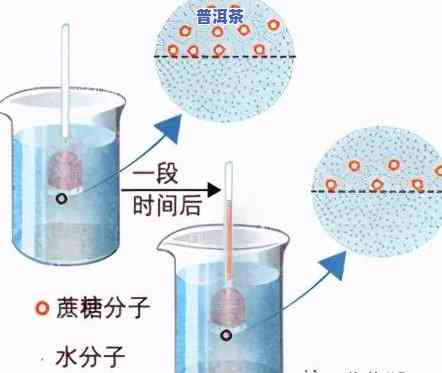 茶叶罐三大是什么？探究知名及其含义与选择建议