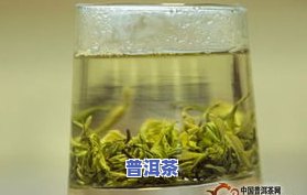 黛绿普洱茶-绿普洱茶的功效与作用