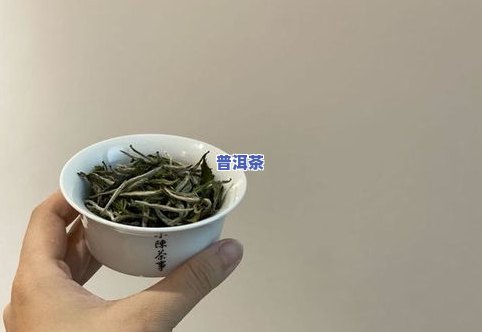 储存茶叶更好的容器是哪种？选择适合的容器让茶叶保持更佳状态