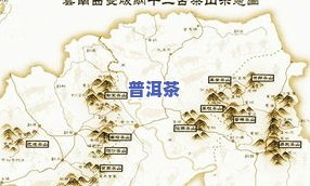 探究普洱茶几大茶区：特点、代表性茶与产地分布